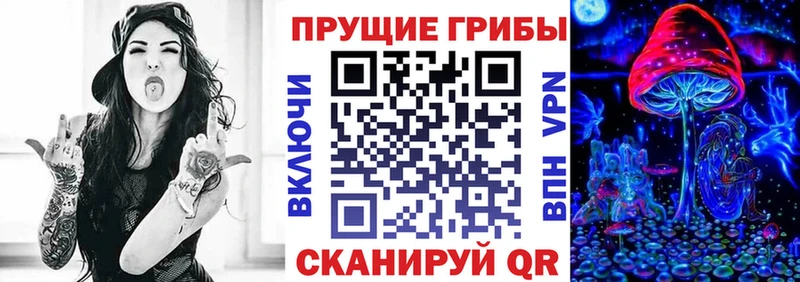 Купить где Югорск Псилоцибиновые грибы Psilocybine cubensis